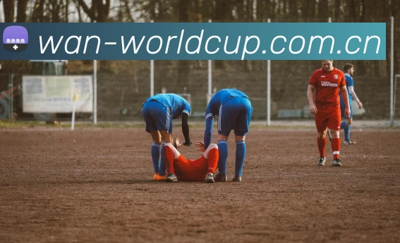 2026世界杯 多终端观赛